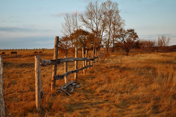 Fence